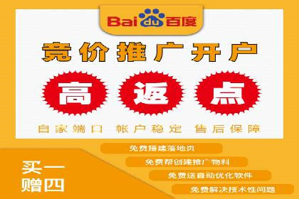 竞价托管服务案例解析